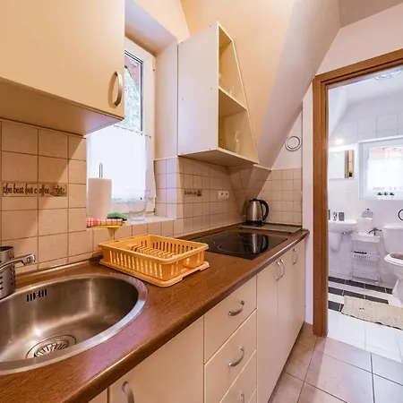 Apartmán Why Not Lesne Zacisze Ul Sobiczkowa 4 Kościelisko