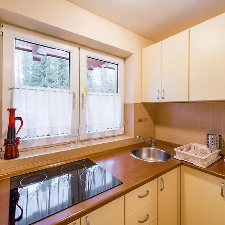 Apartmán Why Not Lesne Zacisze Ul Sobiczkowa 4 Kościelisko
